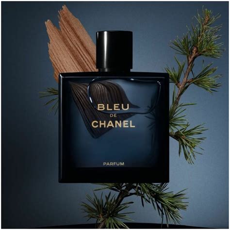 bleu de chanel parfum description|Chanel bleu parfum best price.